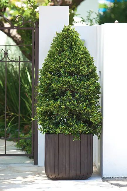 Wood Planter Small - 