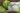 Cotswold Square Planter 32cm Set of 2 - Limestone Grey