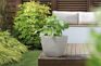 Cotswold Square Planter 32cm Set of 2 - Limestone Grey