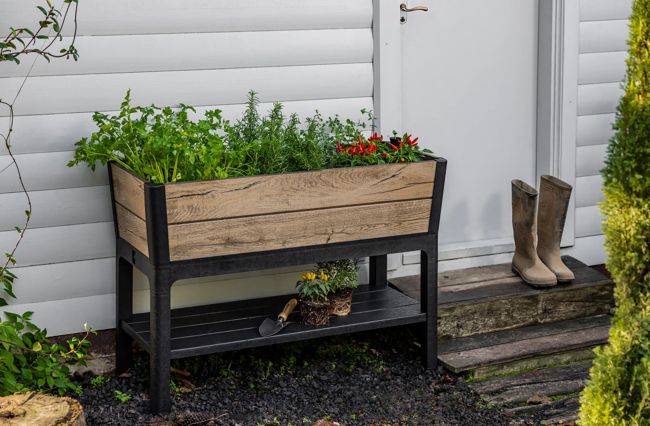 Pine Brown Signature Elevated Garden Bed - Keter US