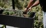 Graphite Splendor 31.7 Gallon Elevated Garden Bed - Keter US