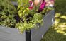 Graphite Maple Resin Raised Garden Bed - Keter US
