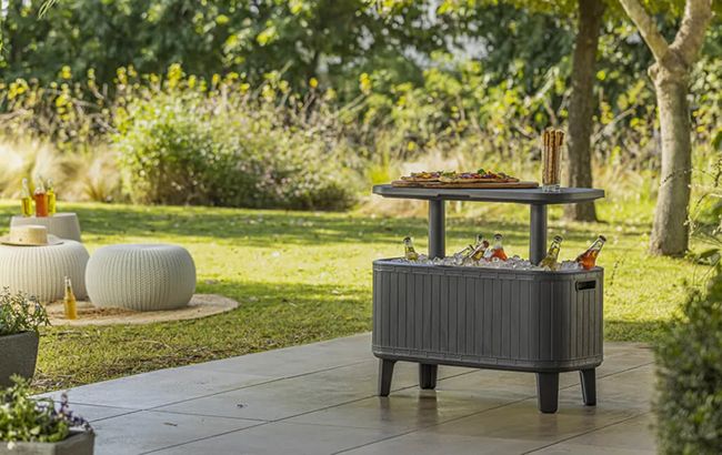 בר משקאות נייד- בווי בר- Bevy Bar בניראות עץ - אפור כהה