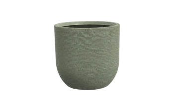 עציץ ערבה בינוני - ירוק - עציצים לבית ולגינה