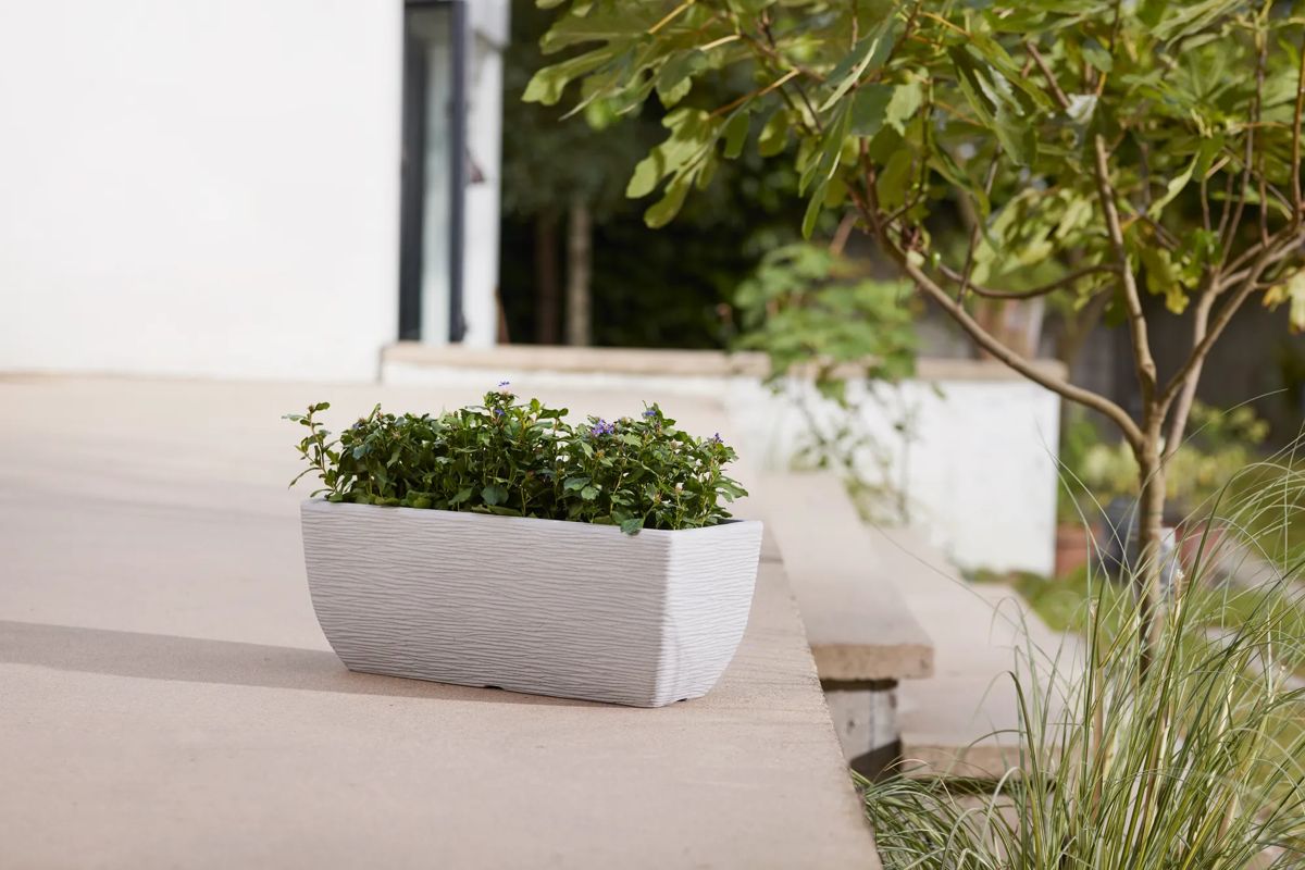 Cotswold Trough Planter 60cm Set of 2 - Limestone Grey