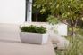 Cotswold Trough Planter 60cm Set of 2 - Limestone Grey