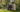 Abri de jardin Signature 117 - 7,4m2 - Marron aspect Douglas