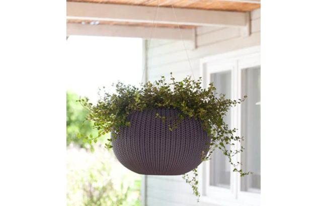 עציץ קוזי 28 נתלה  - סגול