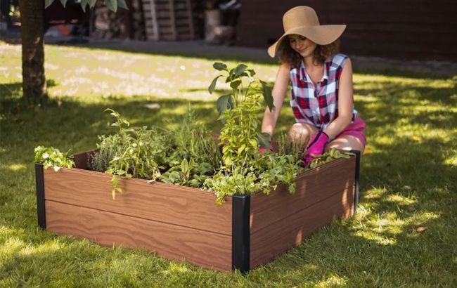 Maple Elevated Garden Bed - Brown