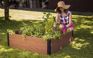 Maple Elevated Garden Bed - Brown
