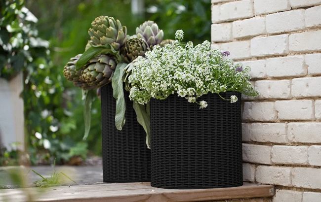 Cylinder Rattan Resin Planters (Set of 3) - Keter US