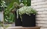 Cylinder Rattan Resin Planters (Set of 3) - Keter US