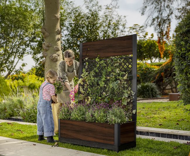 Rosewood Brown Privacy Planter With Trellis - Keter US