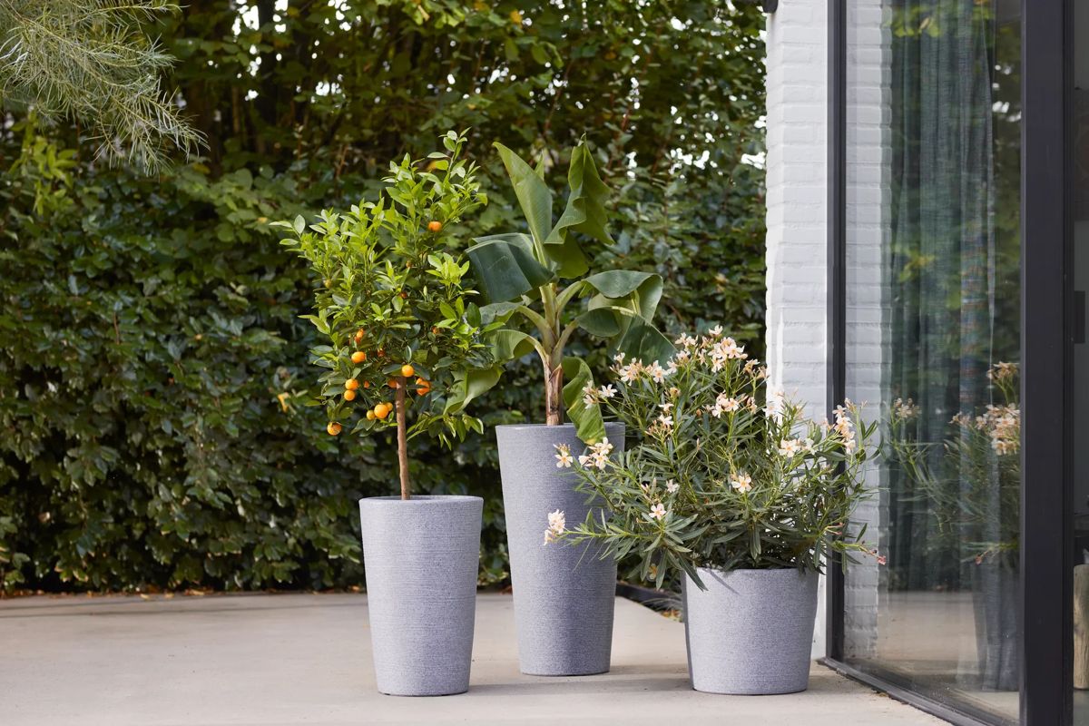Varese Medium Planter 35cm Set of 2 - Alpine Grey