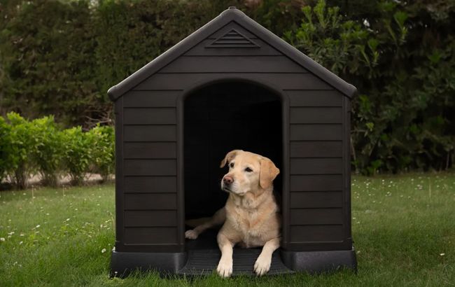 Caseta de perro exterior para jardín - 95x99x99 cm - Marrón