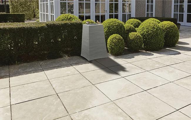 עציץ גלים - thumbnail