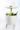 Keter Classic Cool Bar 30L Beistelltisch - 