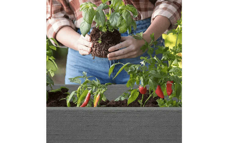 Graphite Darwin 29 Gallon Elevated Garden Bed - Keter US
