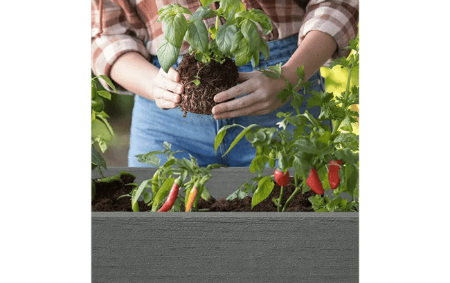 Planche de jardin surélevée Darwin en graphite 29 gallons – Keter Canada