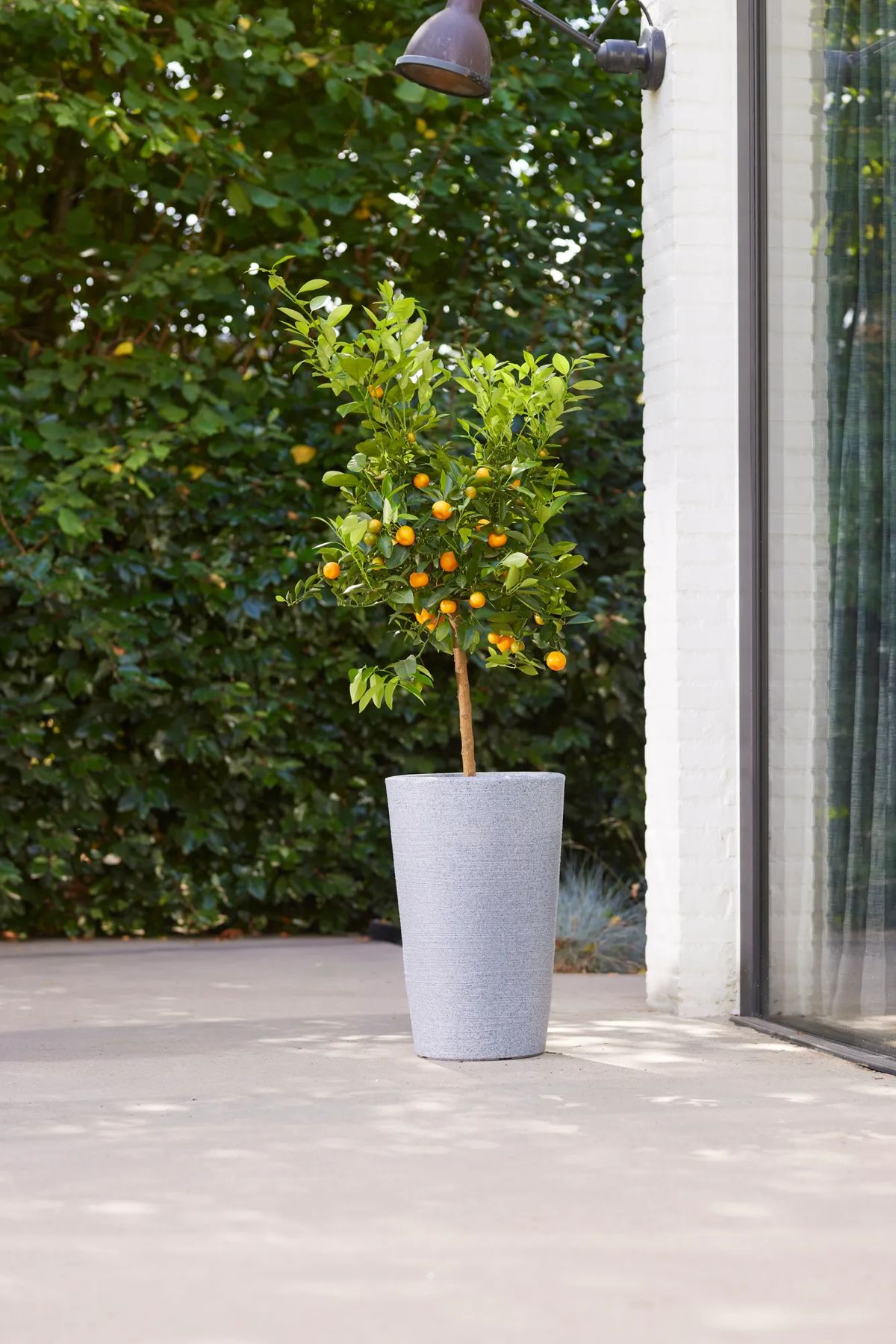 Varese Medium Planter 35cm Set of 2 - Alpine Grey