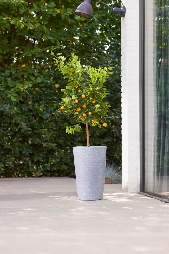 Varese Medium Planter 35cm Set of 2 - Alpine Grey