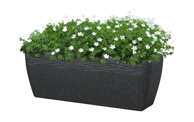 אדנית גליל מלבנית - בזלת