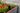 Pine Brown Signature Elevated Garden Bed - Keter US