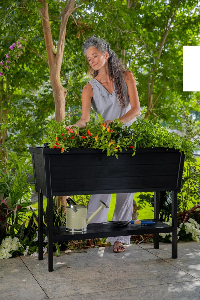 ערוגת גינה אלפרסקו - שחור