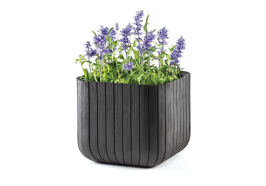 Maceta Cube Box (mediana) - 