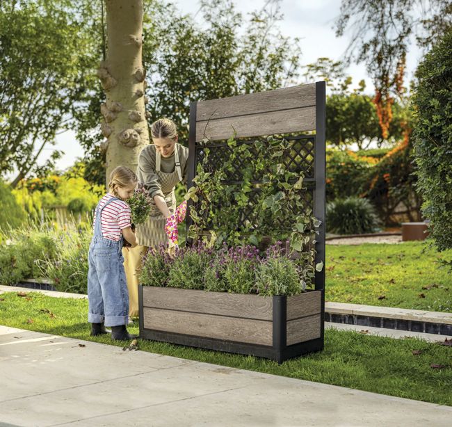 Tulip Screen Planter - Ashwood Brown