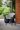 Noa Schalenstuhl - 2er Pack - 56,5x55x80 cm - 