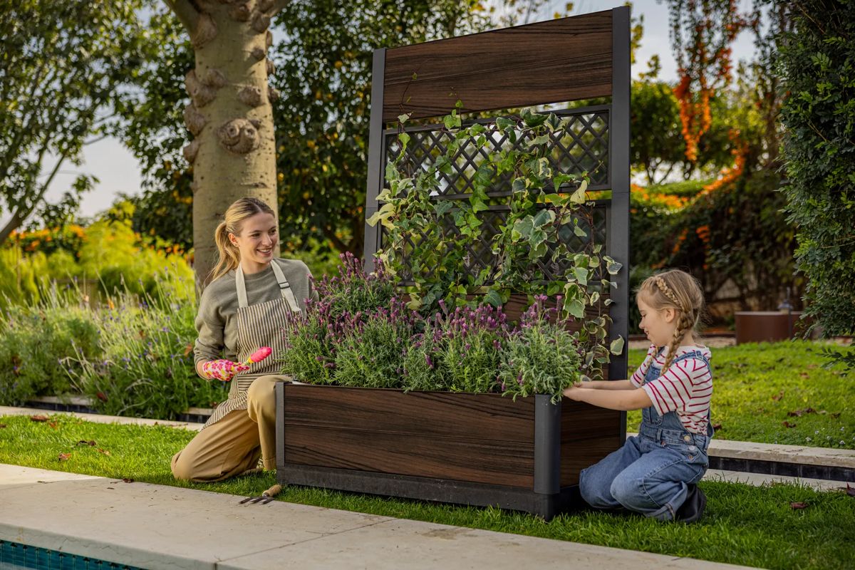 Rosewood Brown Privacy Planter With Trellis - Keter US