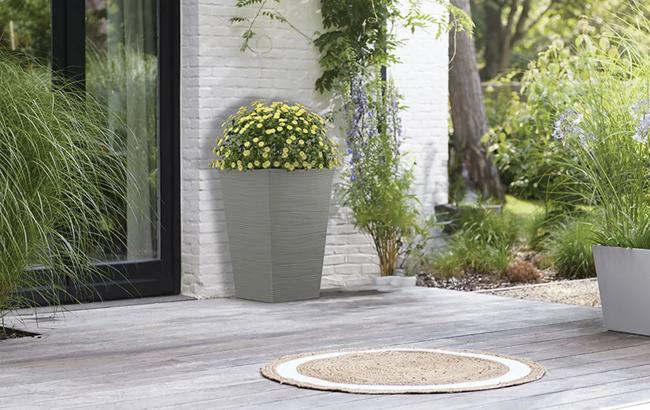 עציץ גלים - thumbnail