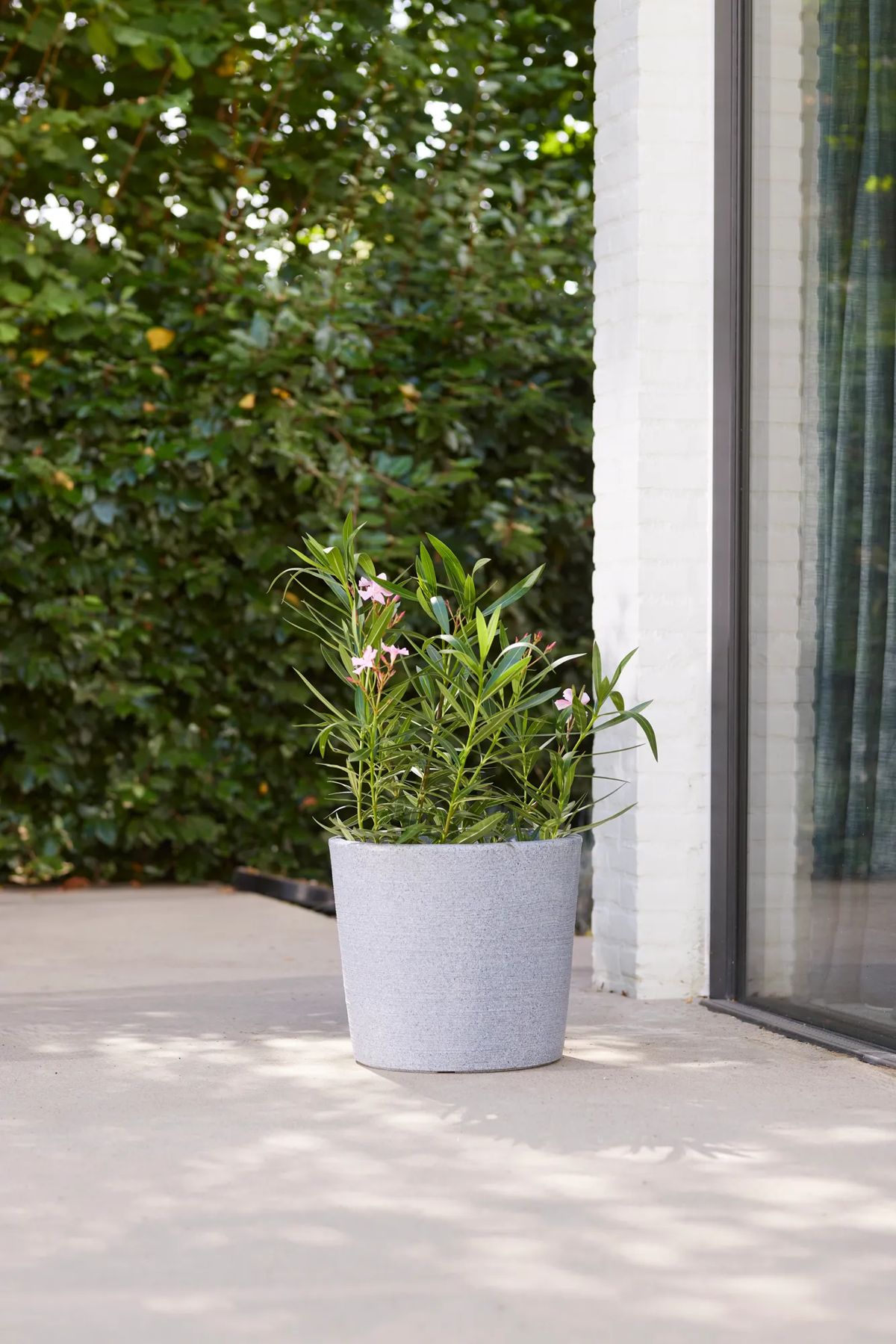 Varese Low Planter 40cm Set of 2 - Alpine Grey