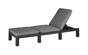 Tumbona de jardín Daytona Deluxe 65x195x25.5 cm - Grafito - Tumbonas de jardín