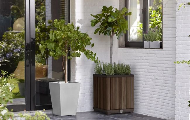 Self Watering Rosewood Brown Square Tall Planter - Keter US