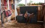 Brightwood Opbergbox - 454L - Antraciet