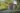 Summit 8x6 Gartenhaus - 252x175x241cm - Pinienholz