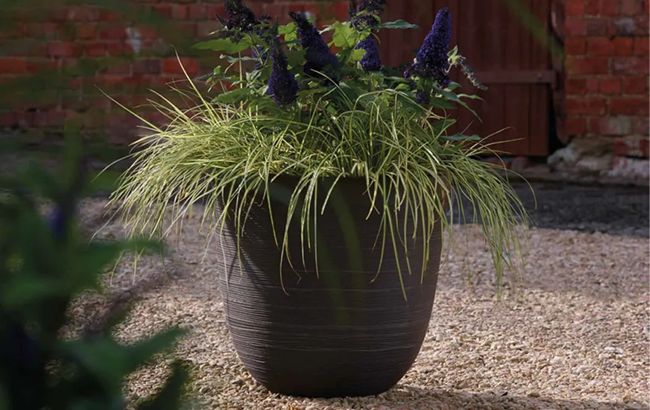 עציץ סהרה 53 ס