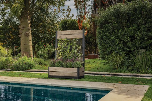 Tulip Screen Planter - Ashwood Brown