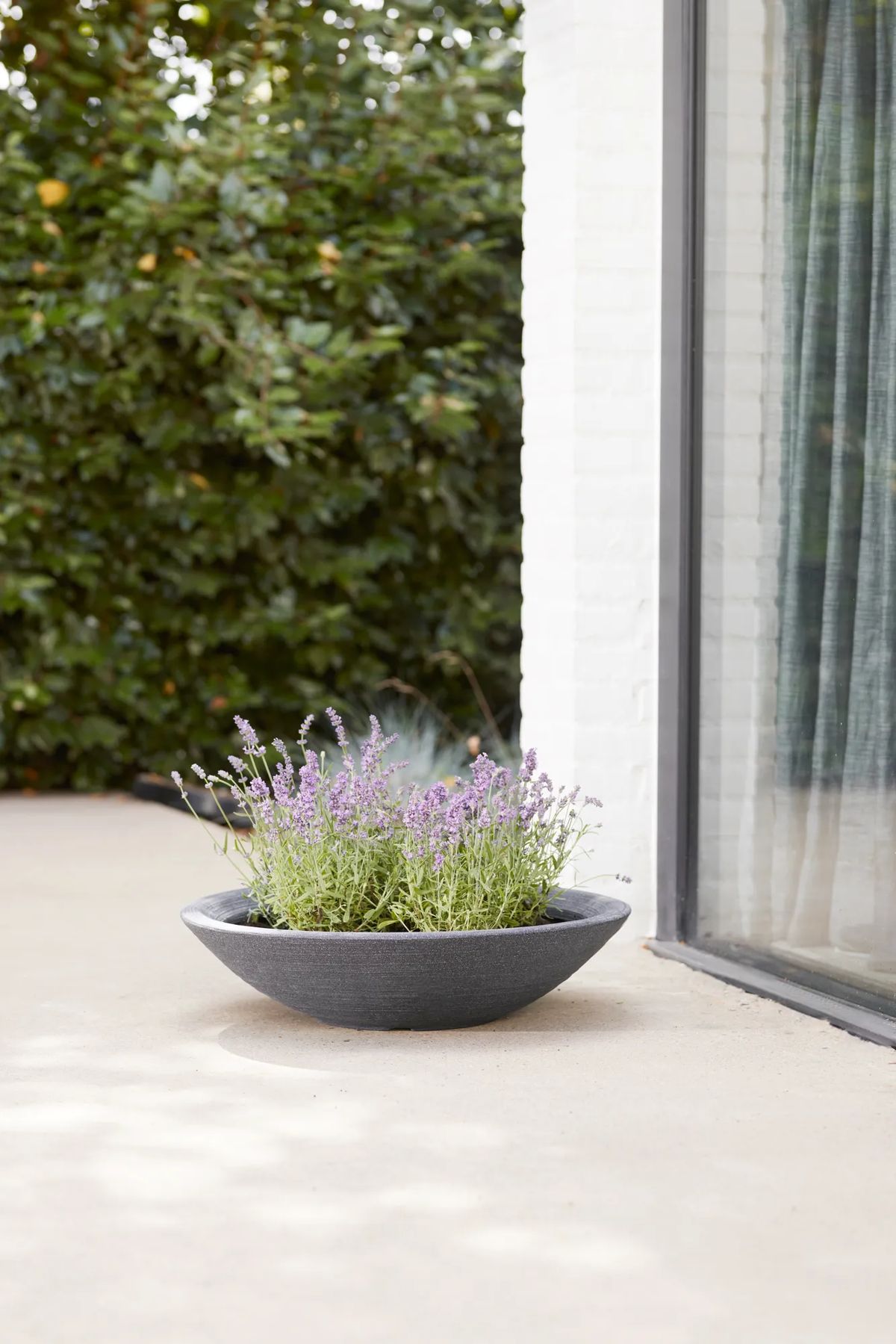 Varese Low Bowl Planter 60cm Set of 2 - Millstone Grey