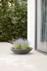 Varese Low Bowl Planter 60cm Set of 2 - Millstone Grey