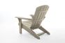 Alpine Adirondack Chair, Set of 2 - Silver Sage