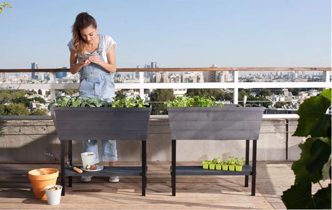 Graphite Urban Bloomer 12.7 Gallon Elevated Garden Bed - Keter US