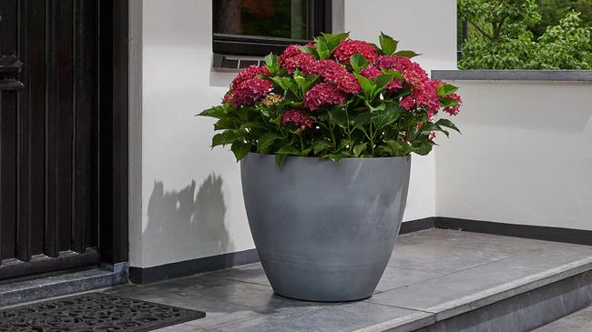 Beton Planter Round 53 cm - 