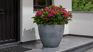 Beton Planter Round 53 cm - 