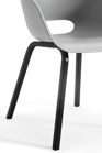 Noa Schalenstuhl - 2er Pack - 56,5x55x80 cm - 