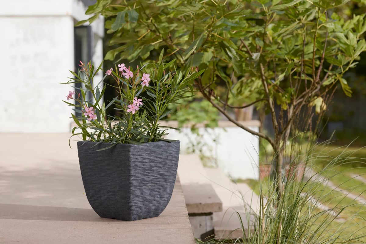 Cotswold Square Planter 32cm Set of 2 - Millstone Grey