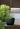 Cotswold Square Planter 38cm Set of 2 - Marble Green