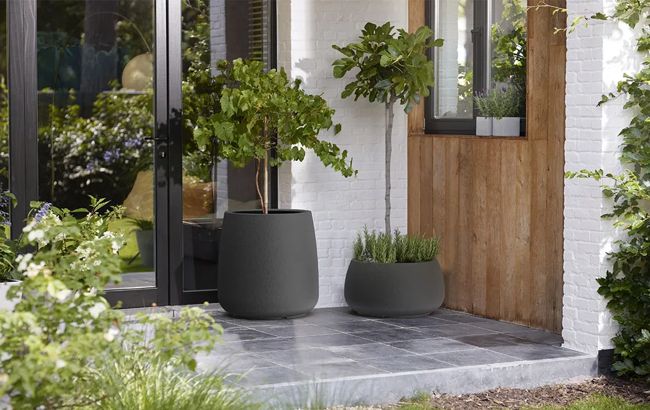 עציץ ארבל נמוך עגול 29 ס